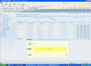 中國空間技術(shù)研究院北京衛(wèi)星制造廠信息系統(tǒng)集成服務(wù)解析