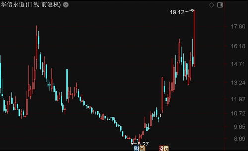 北證50指數(shù)大漲超2%，華信永道及聯(lián)迪信息等多股漲停，信息系統(tǒng)集成服務(wù)板塊表現(xiàn)搶眼
