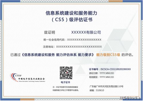 信息系統(tǒng)服務(wù)交付能力等級(jí)（CCID）解析
